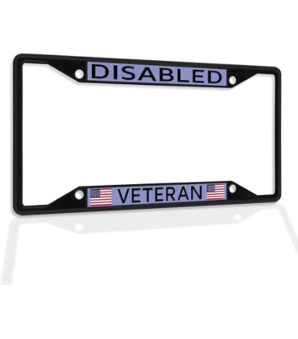 Amazon.com: Metal License Plate Frame Solid Insert Rakkasans 187Th